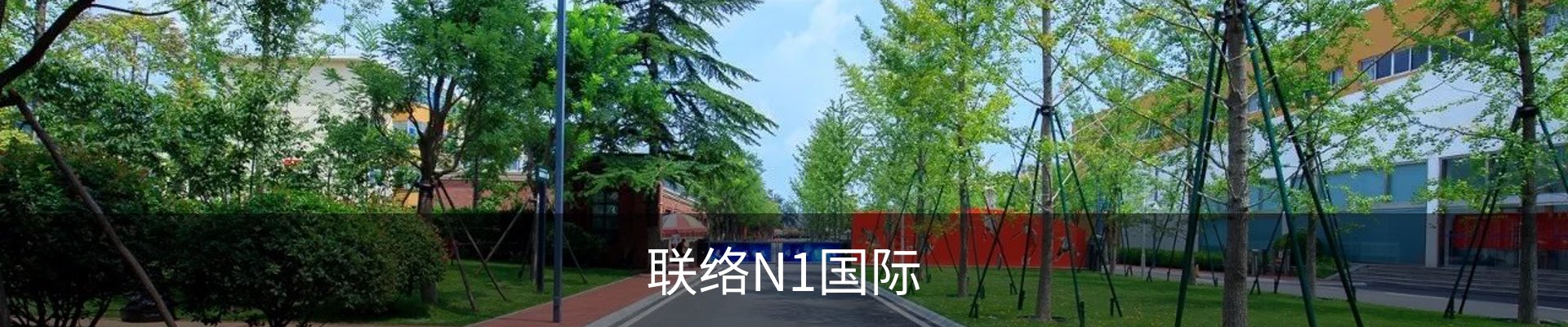 联络N1国际