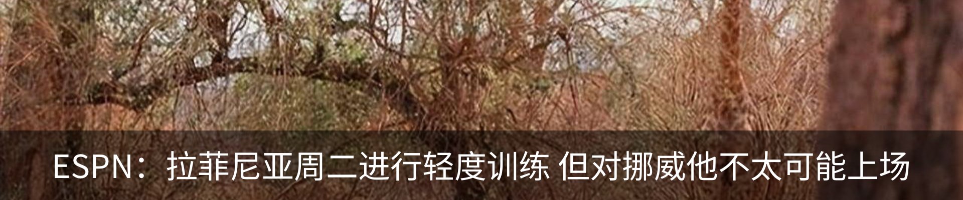 新闻中心